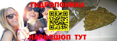 прущие крисы Краснознаменск