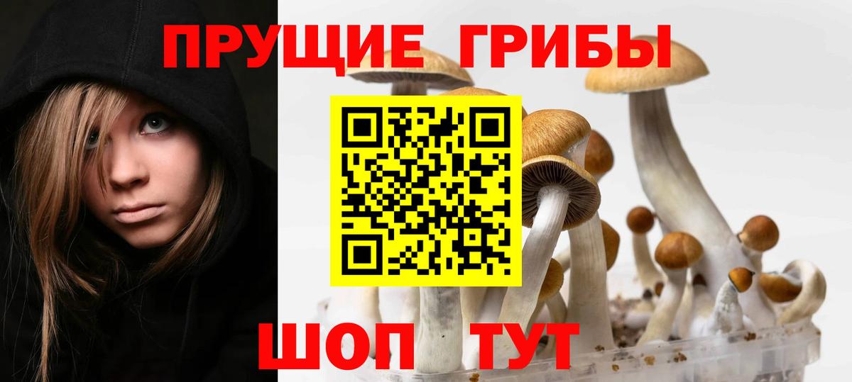 Галлюциногенные грибы прущие грибы Заинск